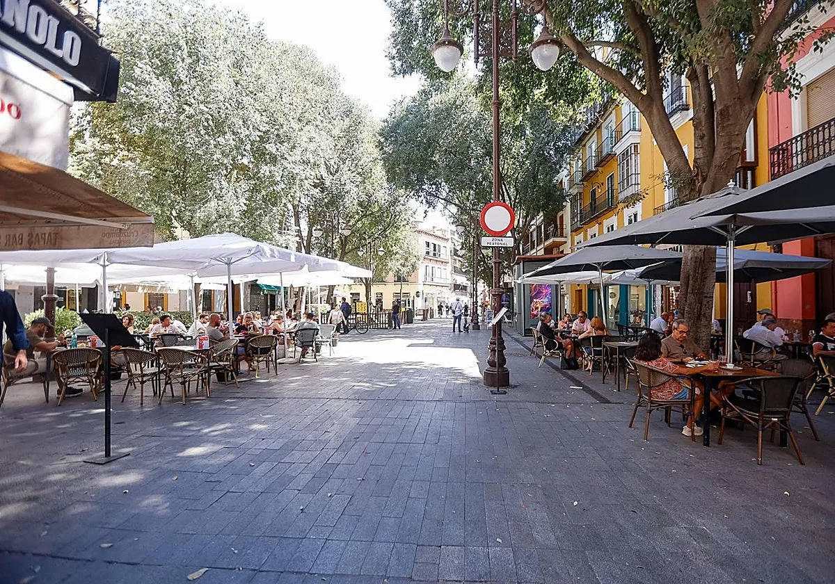 El PSOE critica los veladores de la Plaza Nueva tras haber llenado de terrazas el Centro de Sevilla