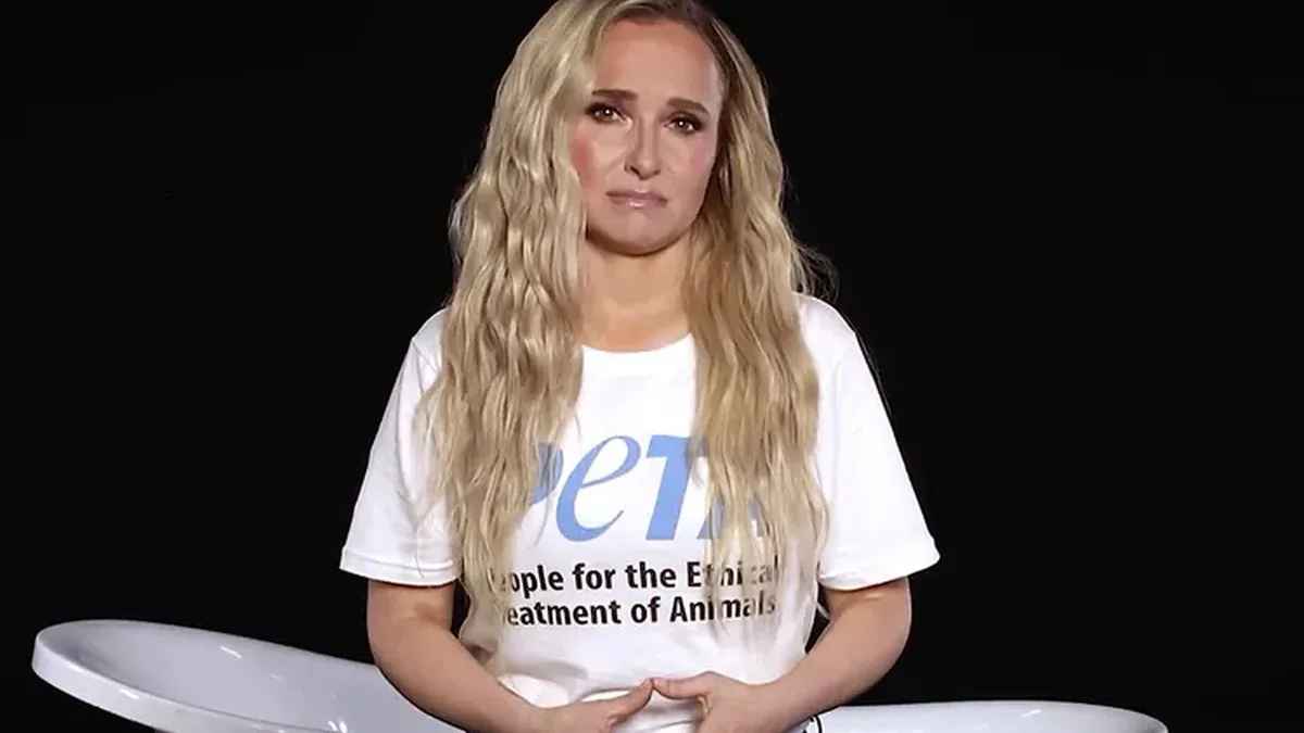 El último proyecto de Hayden Panettiere: una campaña de PETA para liberar a los delfines y las ballenas de los parques marinos