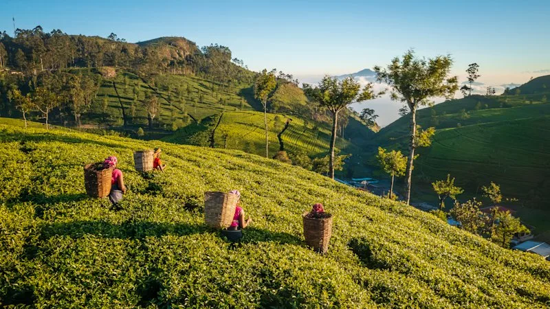 Jetstar’s new route to one of Asia’s coolest destinations takes off