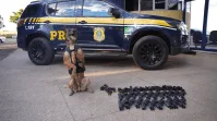 Suspeito é preso com 11 fuzis e uma submetralhadora no RJ
