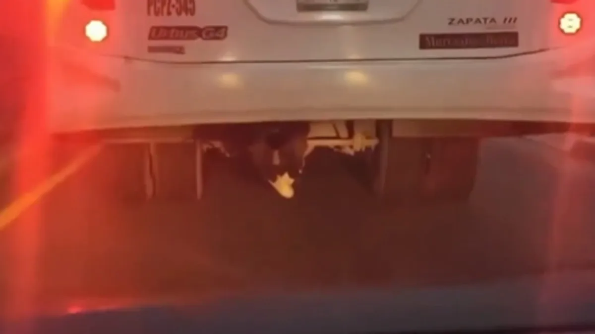 Adolescente viaja oculto debajo de un autobús durante al menos 70 kilómetros en Querétaro | VIDEO