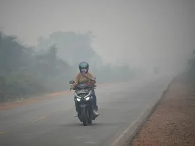 Wildfires threaten Indonesia's orangutans as rescuers find injured animals
