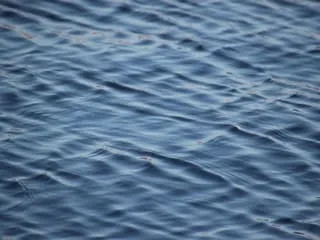 Réchauffement climatique : la température de la surface des océans bat un nouveau record