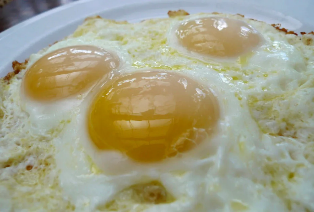 How is salmonella contaminating so many things? What to know from a food safety expert