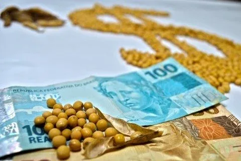 Soja sobe nos portos brasileiros, mas produtor segura vendas à espera de preços maiores