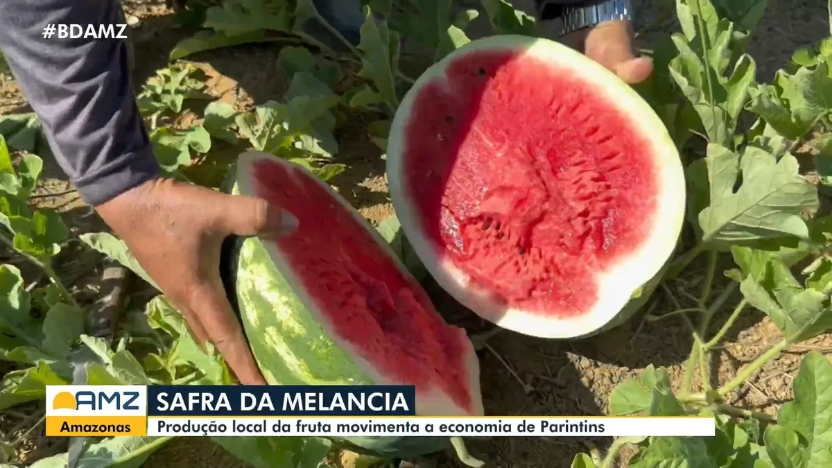 VÍDEOS: Bom Dia Amazônia desta quinta-feira, 13 de agosto de 2026.