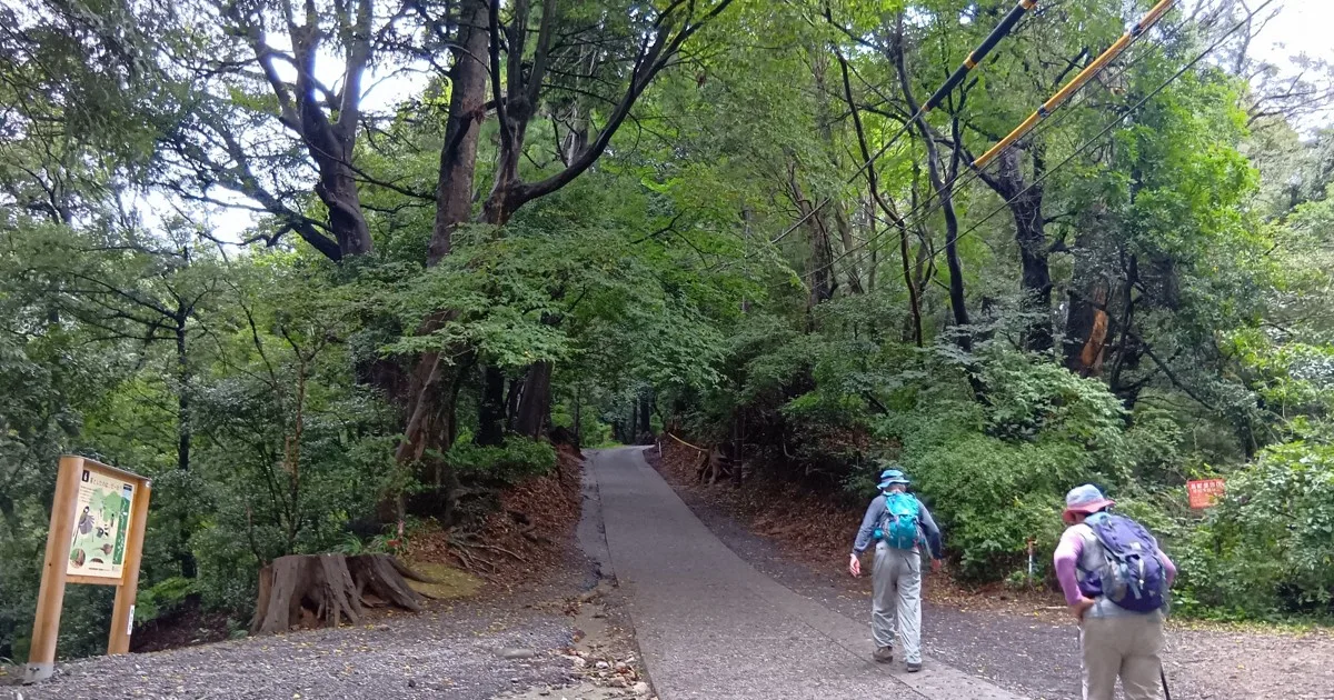 86歳の地元男性「これまで聞いたことない」 高尾山でクマ出没