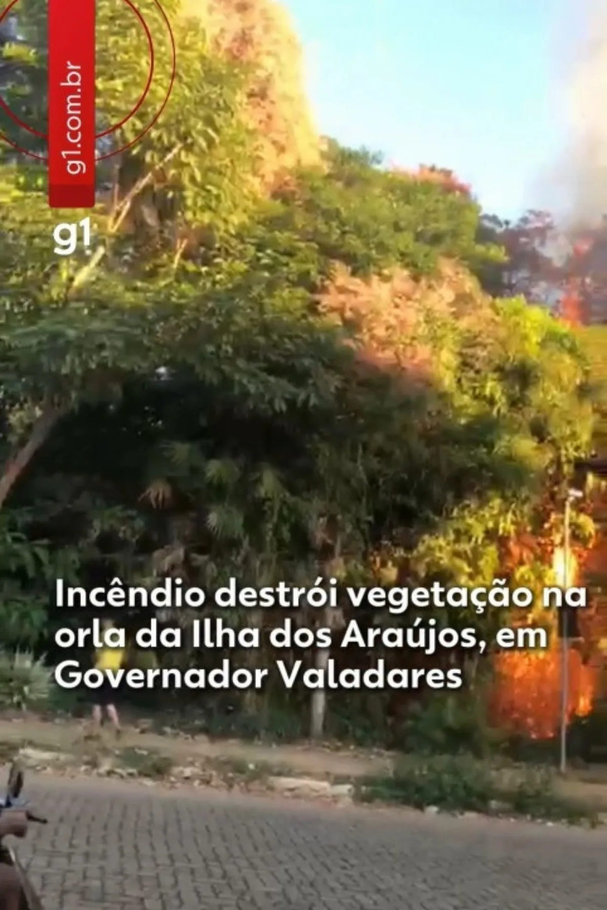 VÍDEO: Incêndio destrói vegetação na orla da Ilha dos Araújos, em Governador Valadares