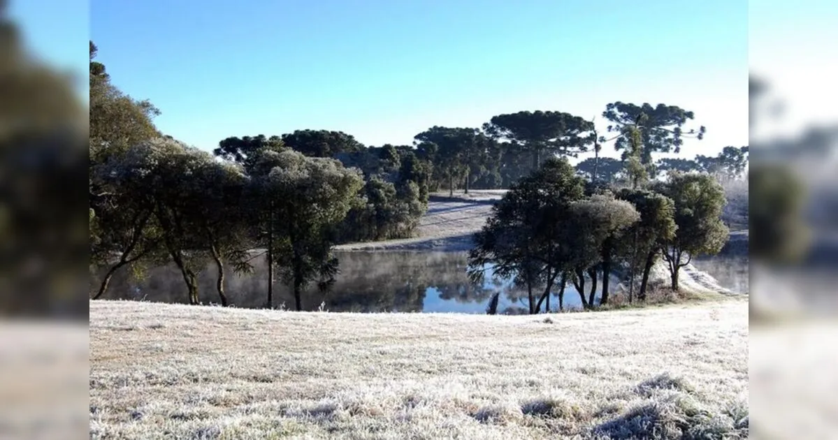 Cidades do PR terão frio de 0°C e geada neste fim de semana; veja onde