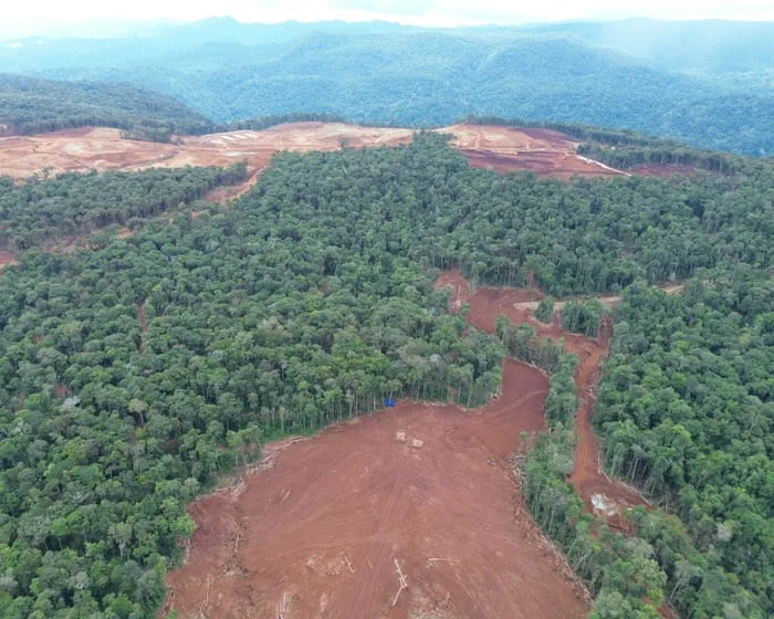 Revealed: VW, Ford and Tesla batteries linked to destructive deforestation of indigenous lands