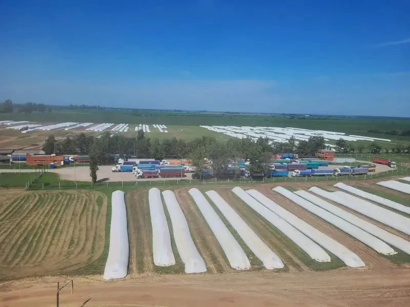 Vandalismo rural: qué dice el proyecto de ley que obtuvo dictamen de comisión y por qué lo cuestiona la oposición