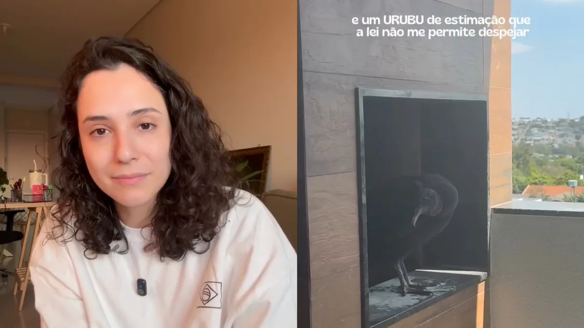 Vídeo: moradora volta de viagem, encontra ninho de urubu na churrasqueira e descobre que não pode 'expulsá-lo' do apartamento