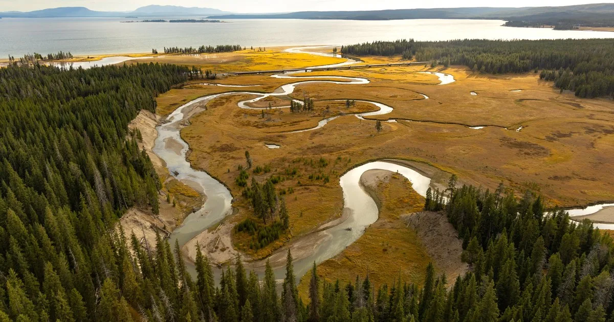 Contaminación en el parque nacional de Yellowstone: el personal anuncia que recuperó una cantidad récord de basura acumulada de las aguas termales