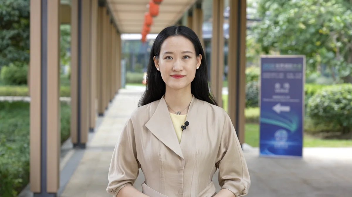 Why new energy storage needs international cooperation