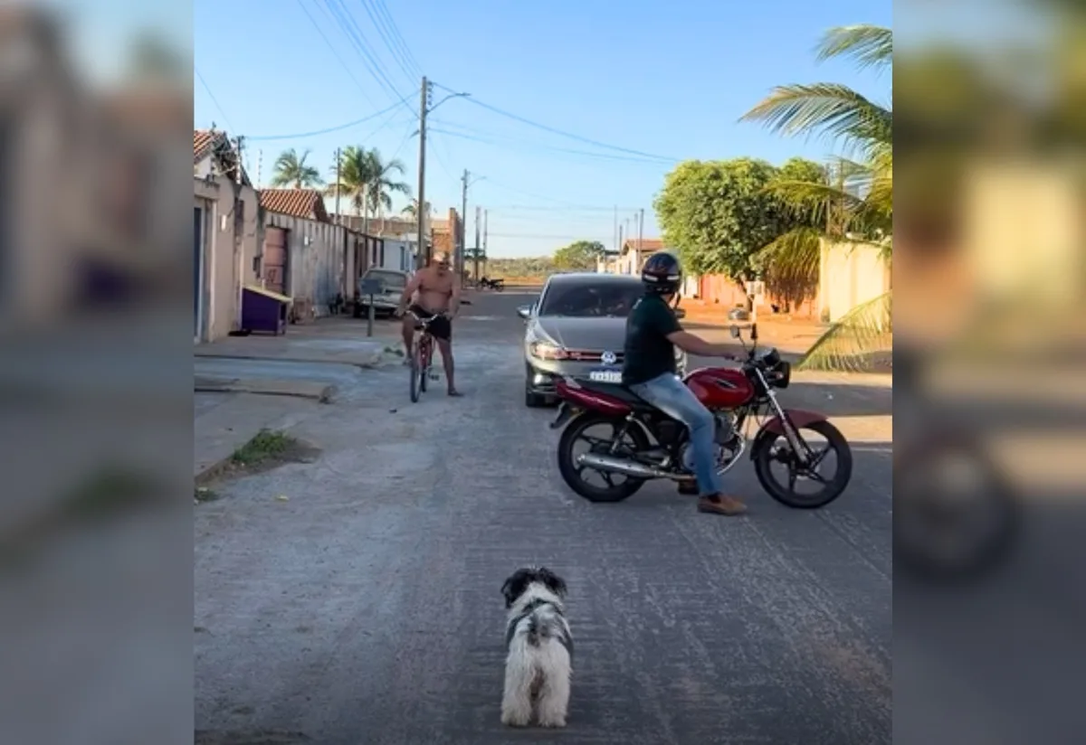 Influenciador faz manobra para estacionar moto, para o trânsito e diverte a web: 'Parece que tá manobrando carreta'