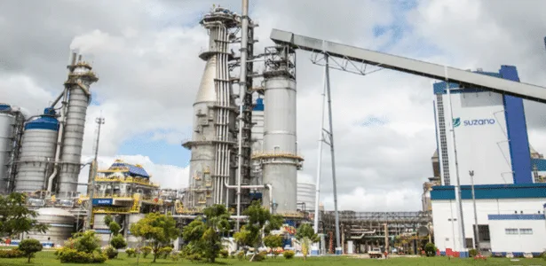 Suzano lucra R$ 1,81 bilhão no segundo trimestre, queda de 64%