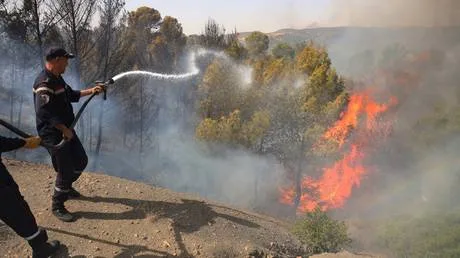 Algeria to impose death penalty for arson