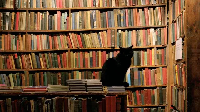 Sachbuch-Bestenliste: Die Sachbuch- Bestenliste für Oktober 2026
