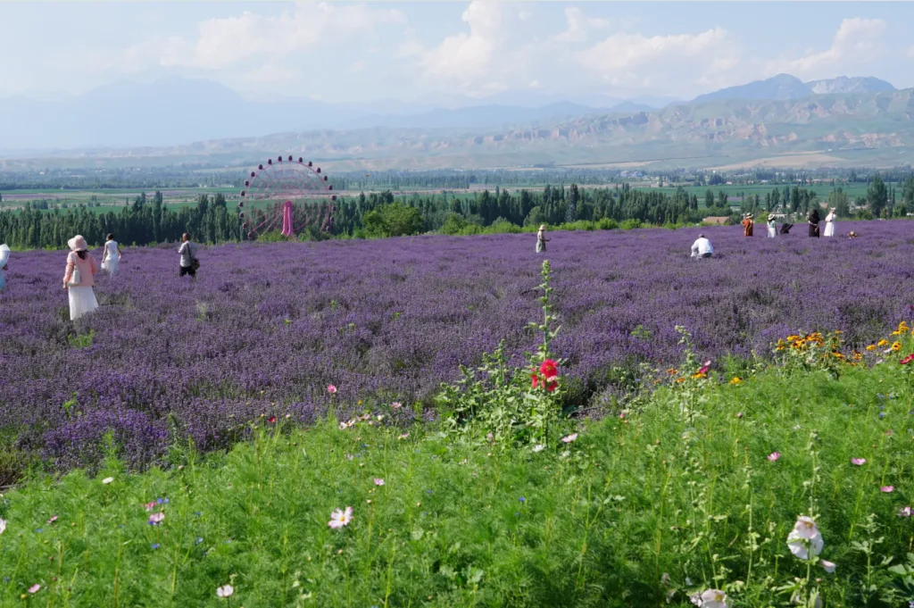 Revitalização rural e direitos humanos: a dignidade material na experiência chinesa