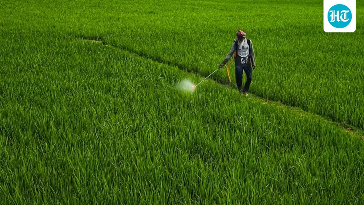 Herbicide paraquat dichloride, used for quicker ripening of green gram, banned in India; MP issues orders