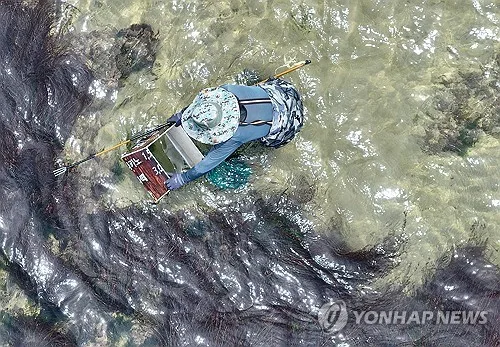 전국 해루질 사망 18명 중 충남서만 8명…"사전 예방 총력"
