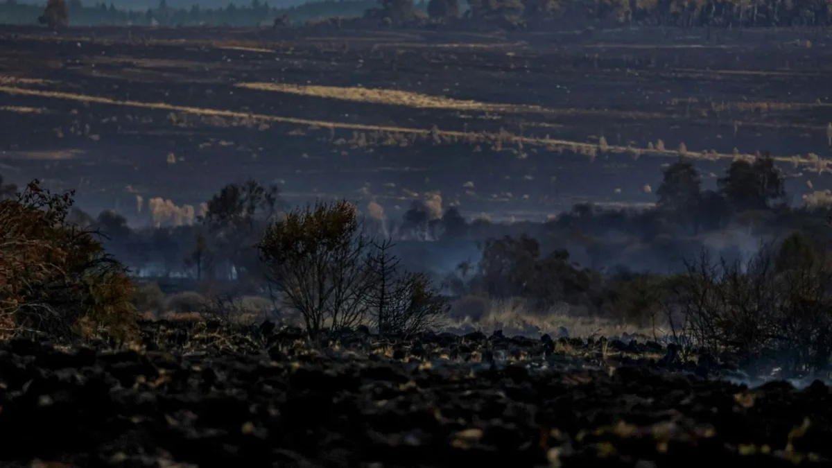 Waldbrand in Belgien laut Behörden „vollumfänglich unter Kontrolle“