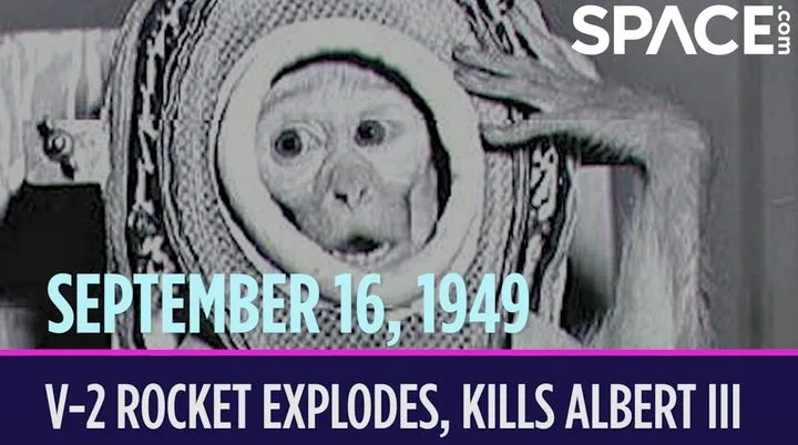 On this day in space! Sept. 16, 1949: A US launch of a V-2 rocket explodes, killing its monkey passenger Albert III