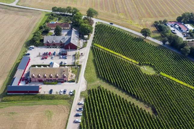 La Scanie, ce petit coin de Suède qui se fait une place sur la carte des vins