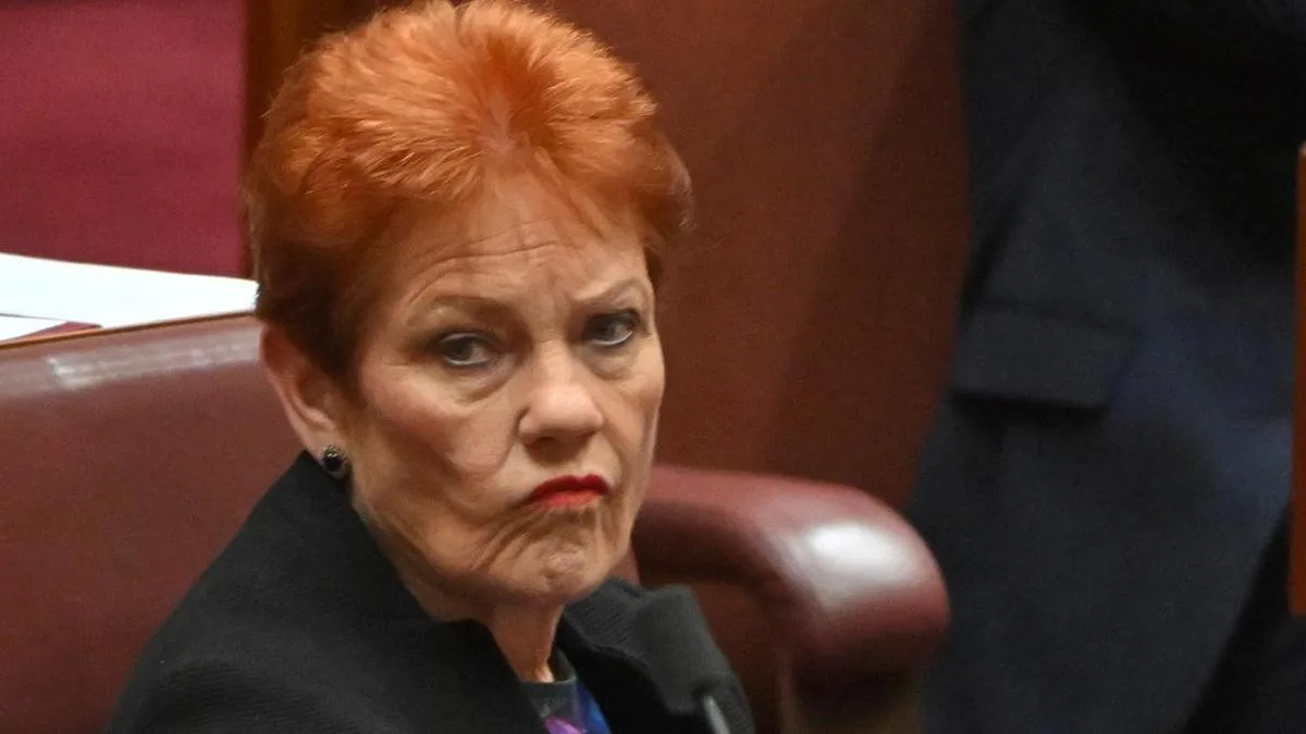 Indigenous senator slams Hanson's 'primitive' slur