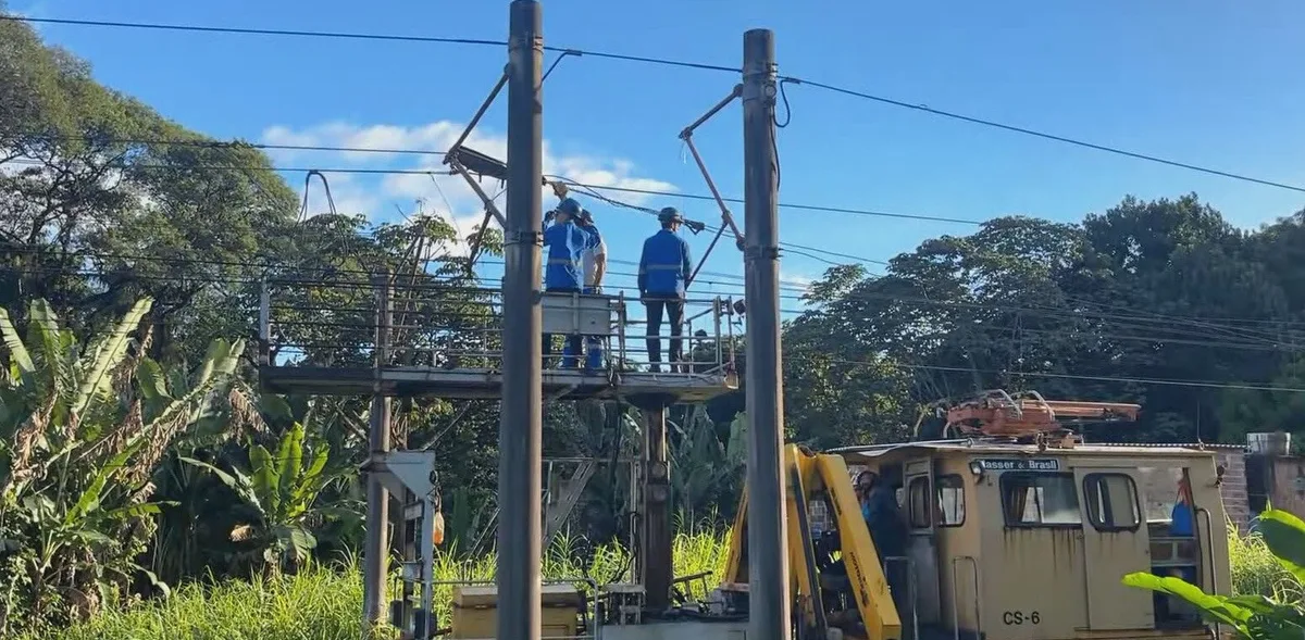 Linha Centro do Metrô do Recife fica sem funcionar após queda de árvore sobre rede elétrica