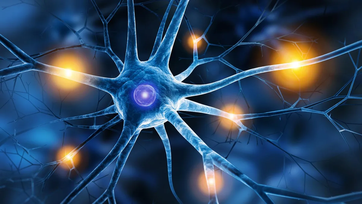 Epilepsie: Ursachen, Diagnose und Behandlung