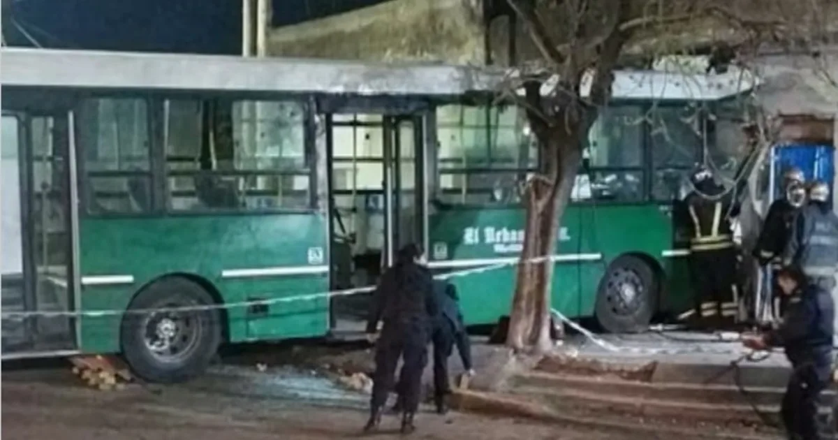 Un chofer de colectivo murió tras estrellarse contra el frente de una casa en Temperley
