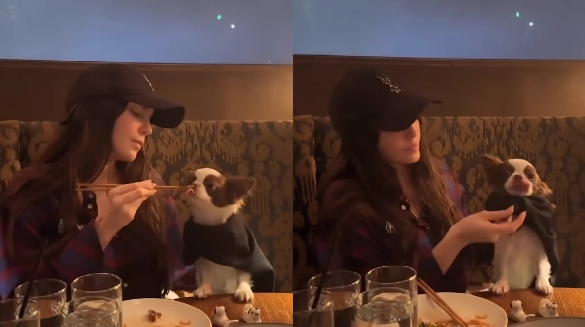 Belinda enternece con video alimentando a su perrito Popper al estilo oriental