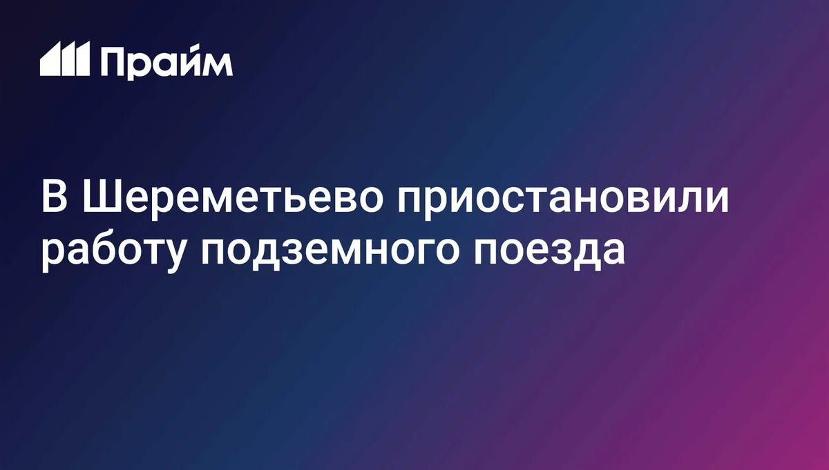 В Шереметьево приостановили работу подземного поезда