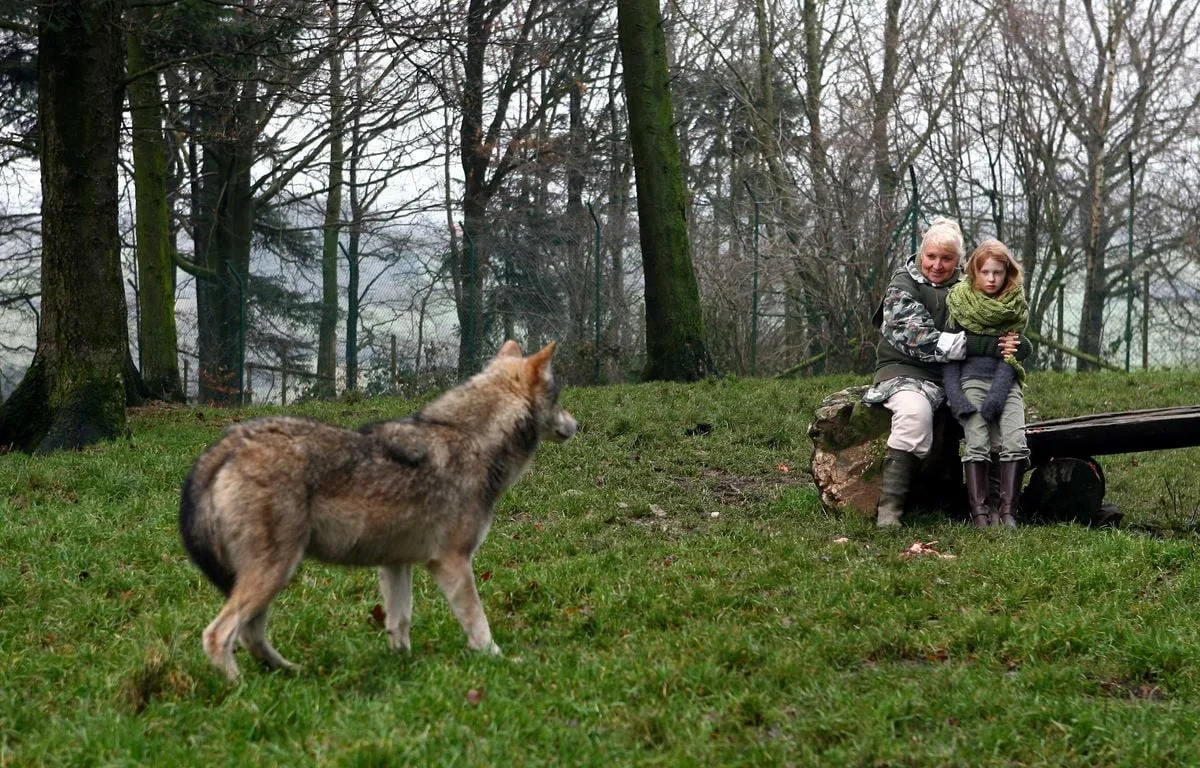 « Un stigma sur les épaules »… Misha Defonseca, autrice de « Survivre avec les loups » et fausse survivante de la Shoah