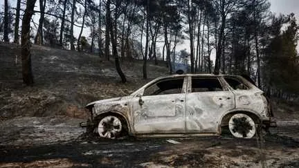 Deux corps retrouvés sur l'île grecque de Salamine, frappée par deux incendies