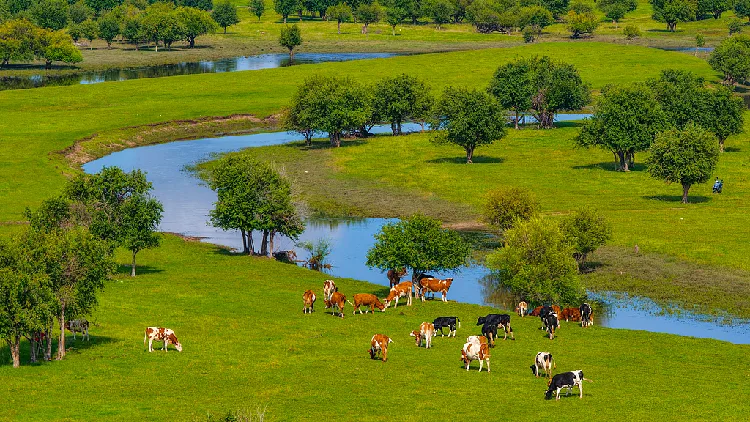 China's Ecological and Environmental Code: What will it change?