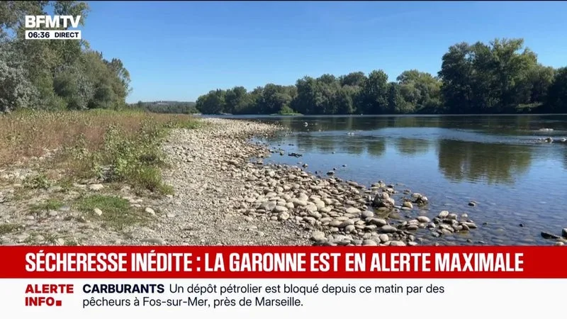 Le niveau de la Garonne atteint un seuil d'alerte renforcé en raison des fortes chaleurs et du manque de pluie