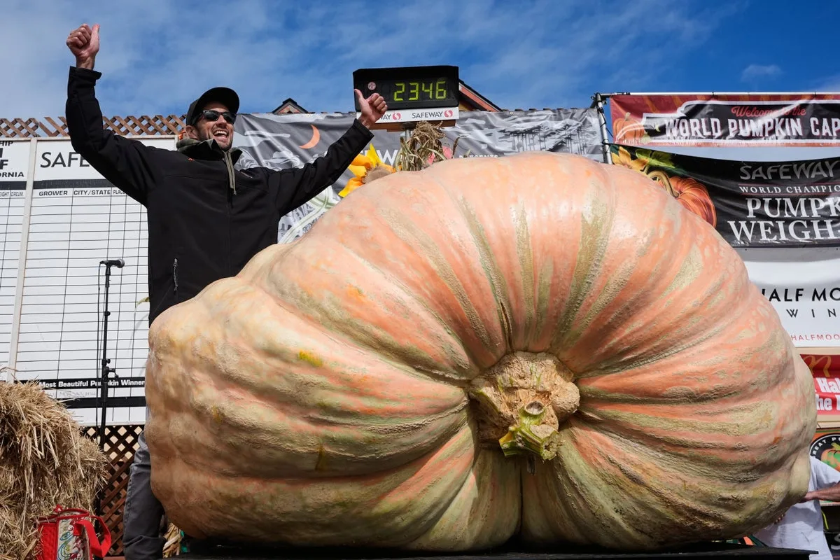 Horticulture teacher drives 30 hours with car-sized pumpkin in bid to smash world record