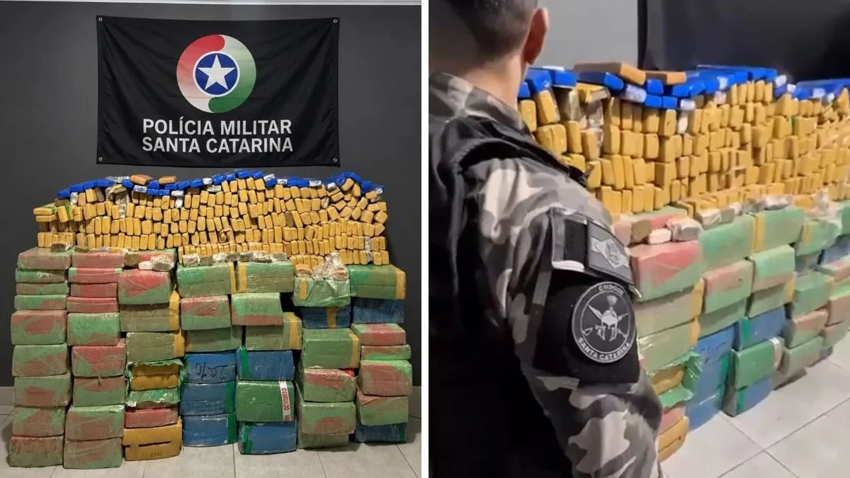 Cheiro forte faz polícia descobrir mais de uma tonelada de maconha escondida em ‘depósito do tráfico’ em SC