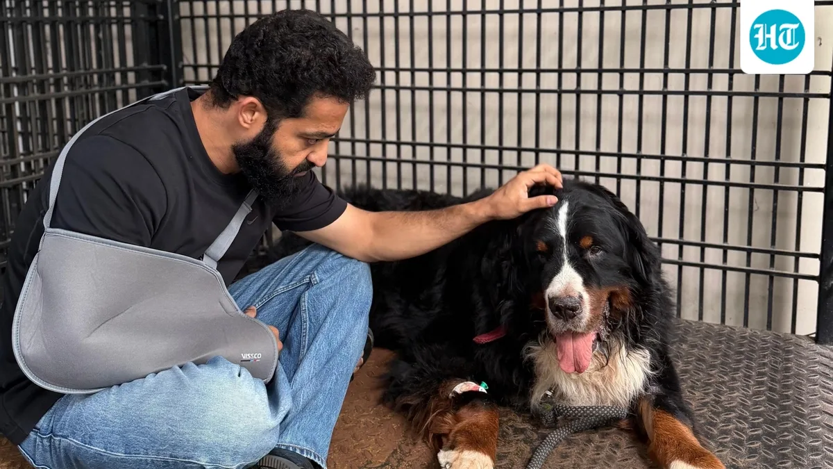 Jr NTR loses pet dog Bagheera, gets emotional on Instagram, ‘Your absence leaves a silence that feels far too large…’