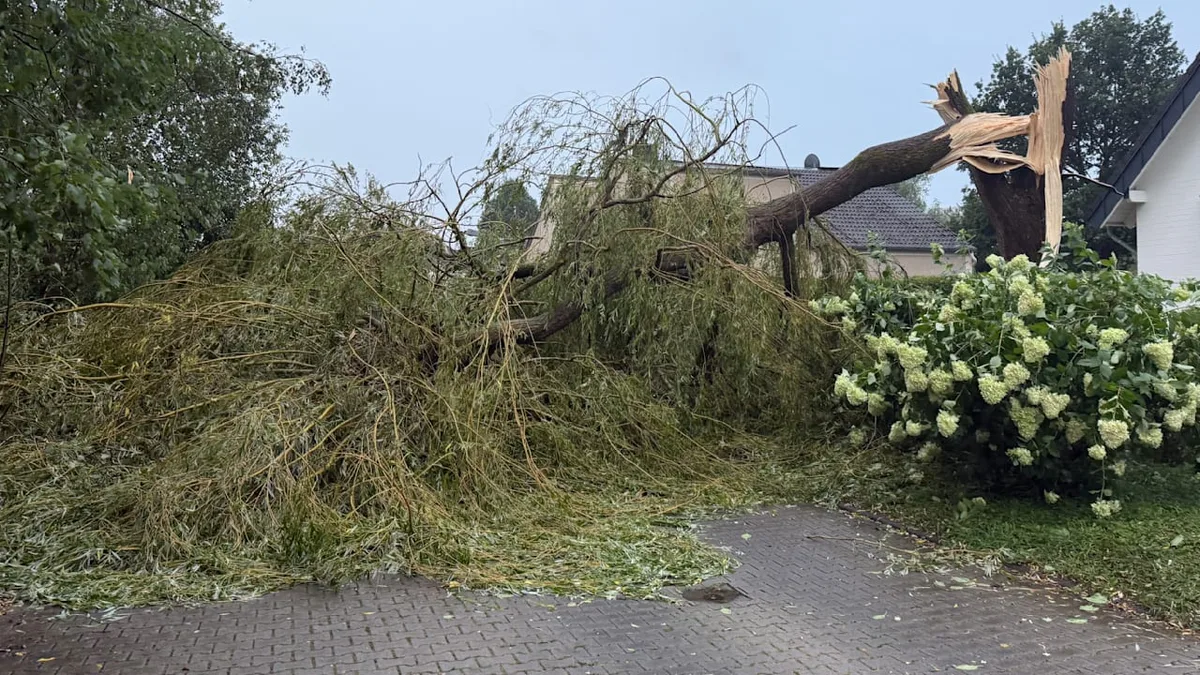 Häuser unbewohnbar, Autos beschädigt - Frau (58) bei Unwetter von Baum erschlagen