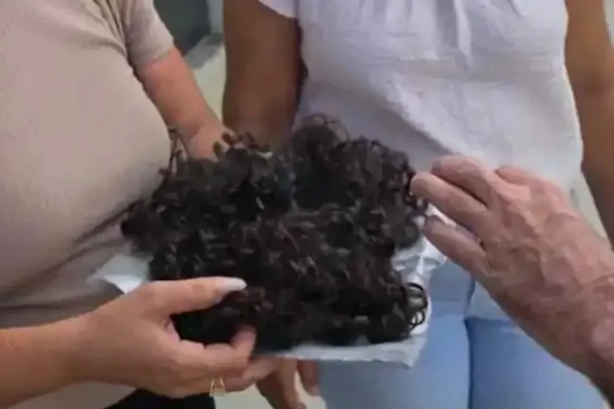 Adolescente de 12 anos é esfaqueada e tem cabelo cortado por vizinha