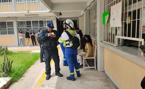 Abejas pican a 14 alumnos en secundaria de Coyoacán; bomberos y Protección Civil atienden la emergencia
