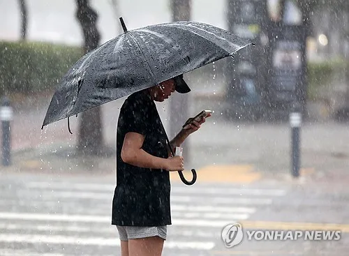 '광양 173.5㎜' 전남광주 사흘째 비…31일까지 최대 80㎜ 더