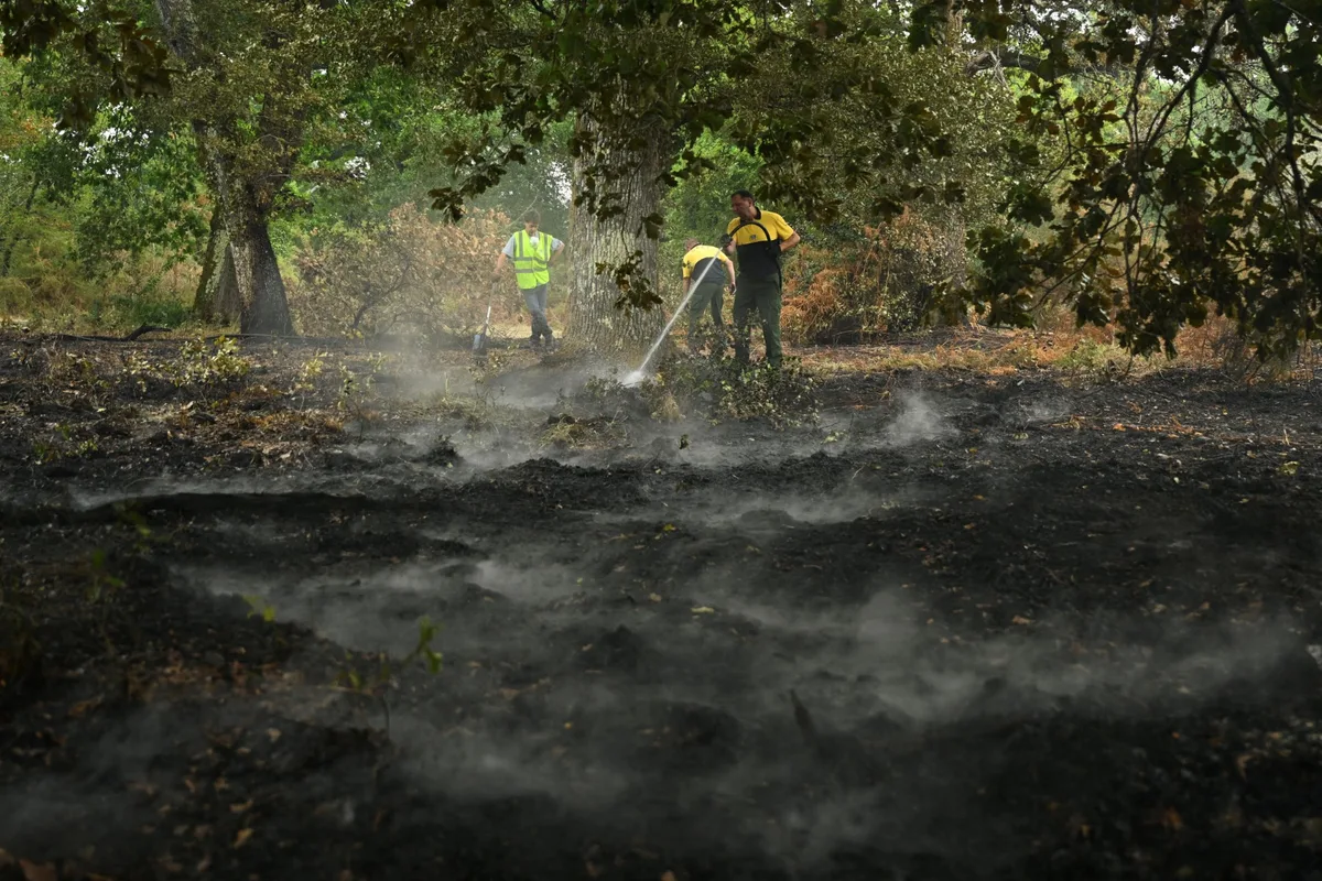 Onda de calor deixa mais de 7,3 mil mortes em excesso na França em 2026