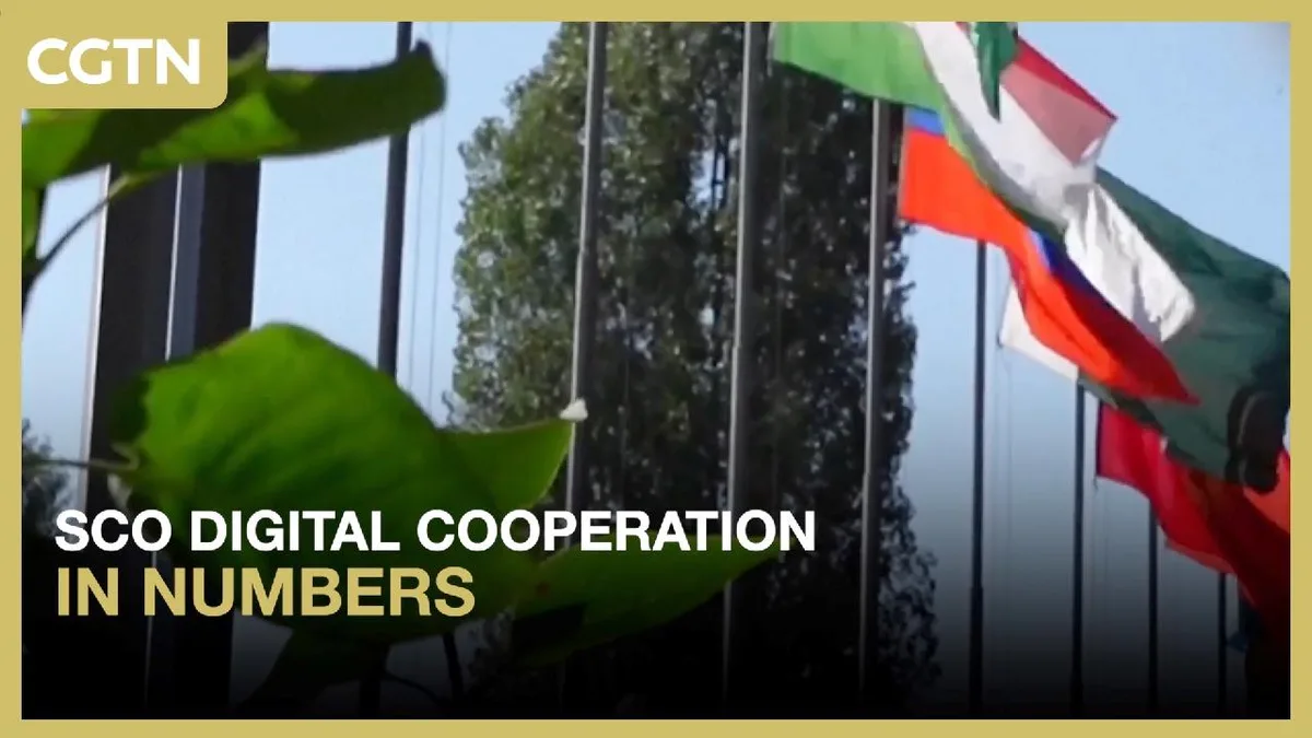 SCO digital cooperation: One year in numbers