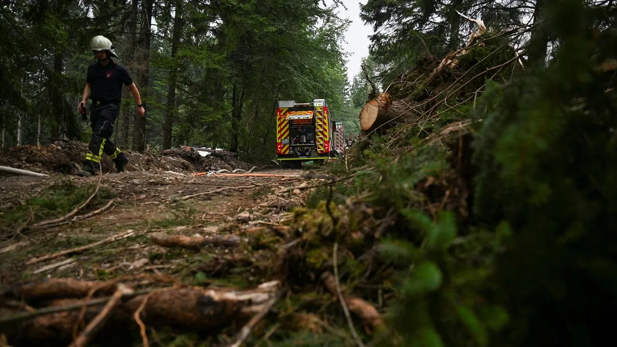 Hitze in Europa: 400 Einsatzkräfte kämpfen gegen Waldbrand im Saarland