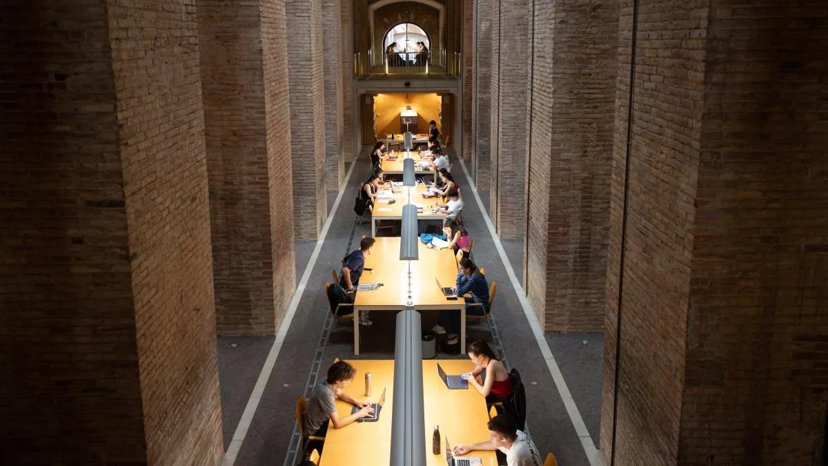 IA y universidad: reformarse o morir