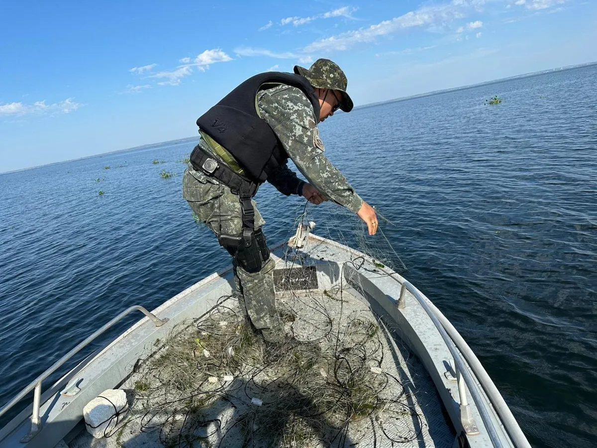 Polícia apreende mais de um quilômetro de redes de pesca e solta peixes no Rio Paraná